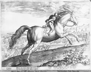 Cheval maure